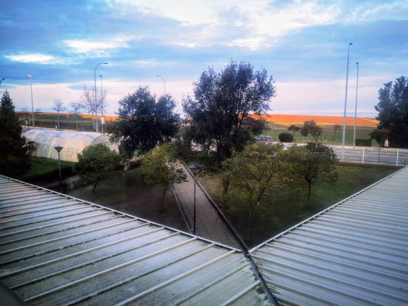Imagen 3